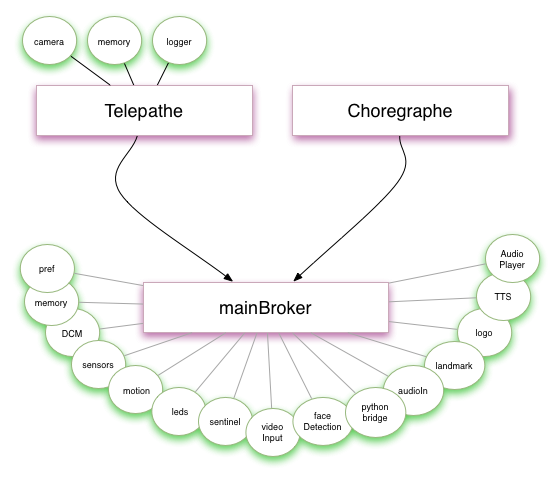 Aldebaran Robotics software architecture